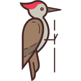 Birdywood Logo